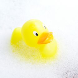 Badeenten Duck Family