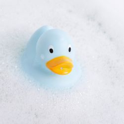 Badeenten Duck Family