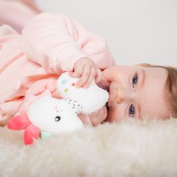 Fehn Aiko & Yuki Rasselring Einhorn