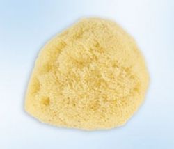 Natural baby sponge 