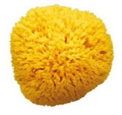 OK-Baby Natur-Babyschwamm aus dem Mittelmeer Honeycomb mittel