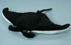 Teufelsrochen schwarz-weiß 30 cm