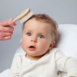 Organic goat hair brush 