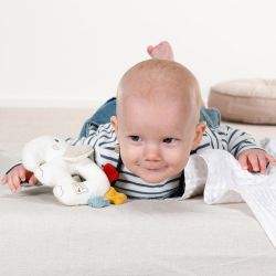 Fehn fehnNATUR Soft Rattle Elephant