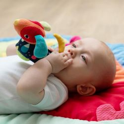 FEHN COLOR Friends Grabber Dog with Teether