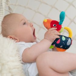FEHN COLOR Friends Grabber Dog with Teether