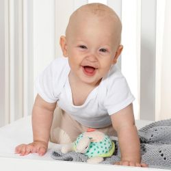 Fehn Meereskinder Mini Musical Turtle