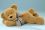 Liegebär Teddybär goldbraun 42 cm