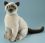 LEVUVU Siamese cat beige-brown 30 cm