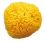 OK-Baby natural baby sponge from the Mediterranean Honeycomb small size