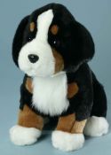 sitzender Berner Sennenhund