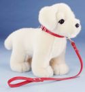 Golden-Retrieverwelpe mit Halsba...