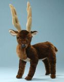 stag with beige antlers