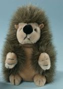 waiting hedgehog