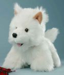 zotteliger Westie