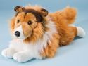 zotteliger Collie