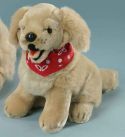 Golden-Retriever mit Halstuch.
